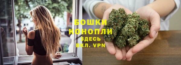ECSTASY Каменка