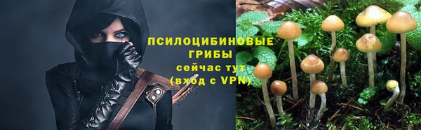 хмурый Каменногорск