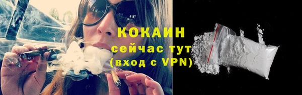 хмурый Каменногорск