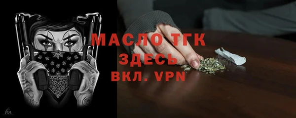 ECSTASY Каменка