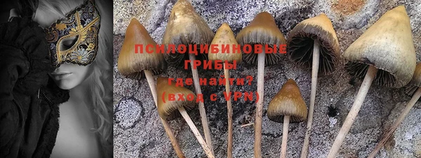 хмурый Каменногорск