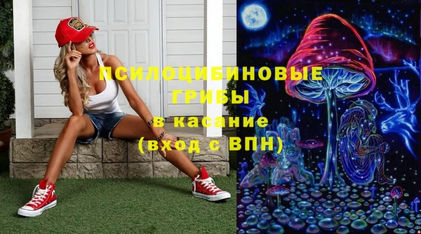 ECSTASY Каменка