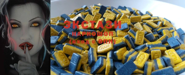 ECSTASY Каменка