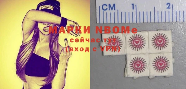 ECSTASY Каменка